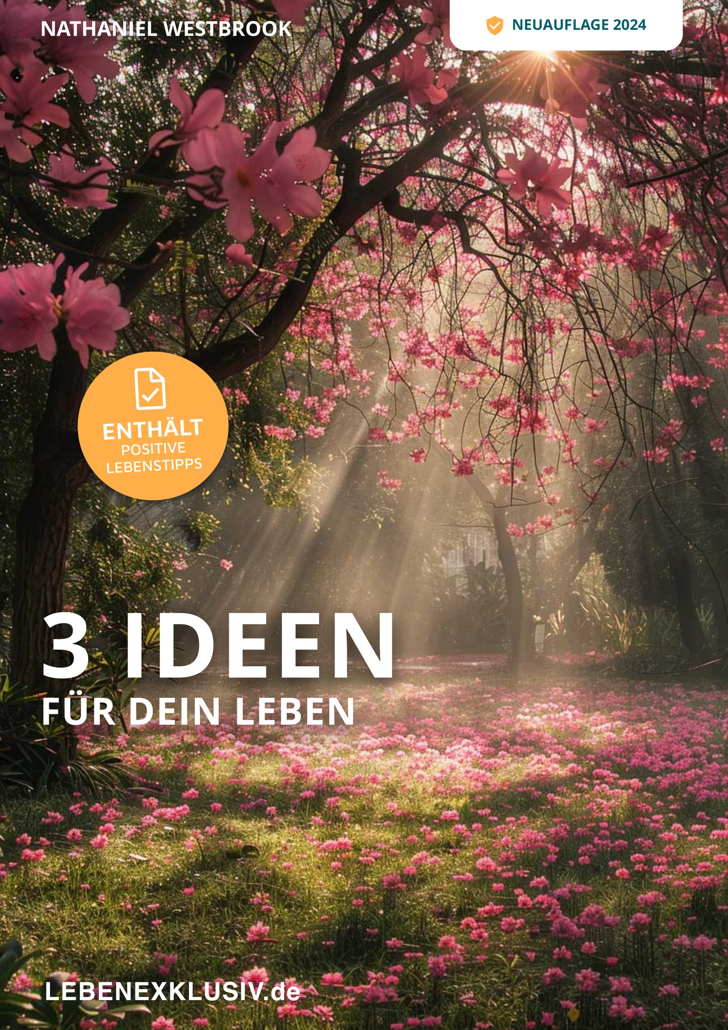 "3 Ideen für dein Leben" - E-Book - Nathaniel Westbrook